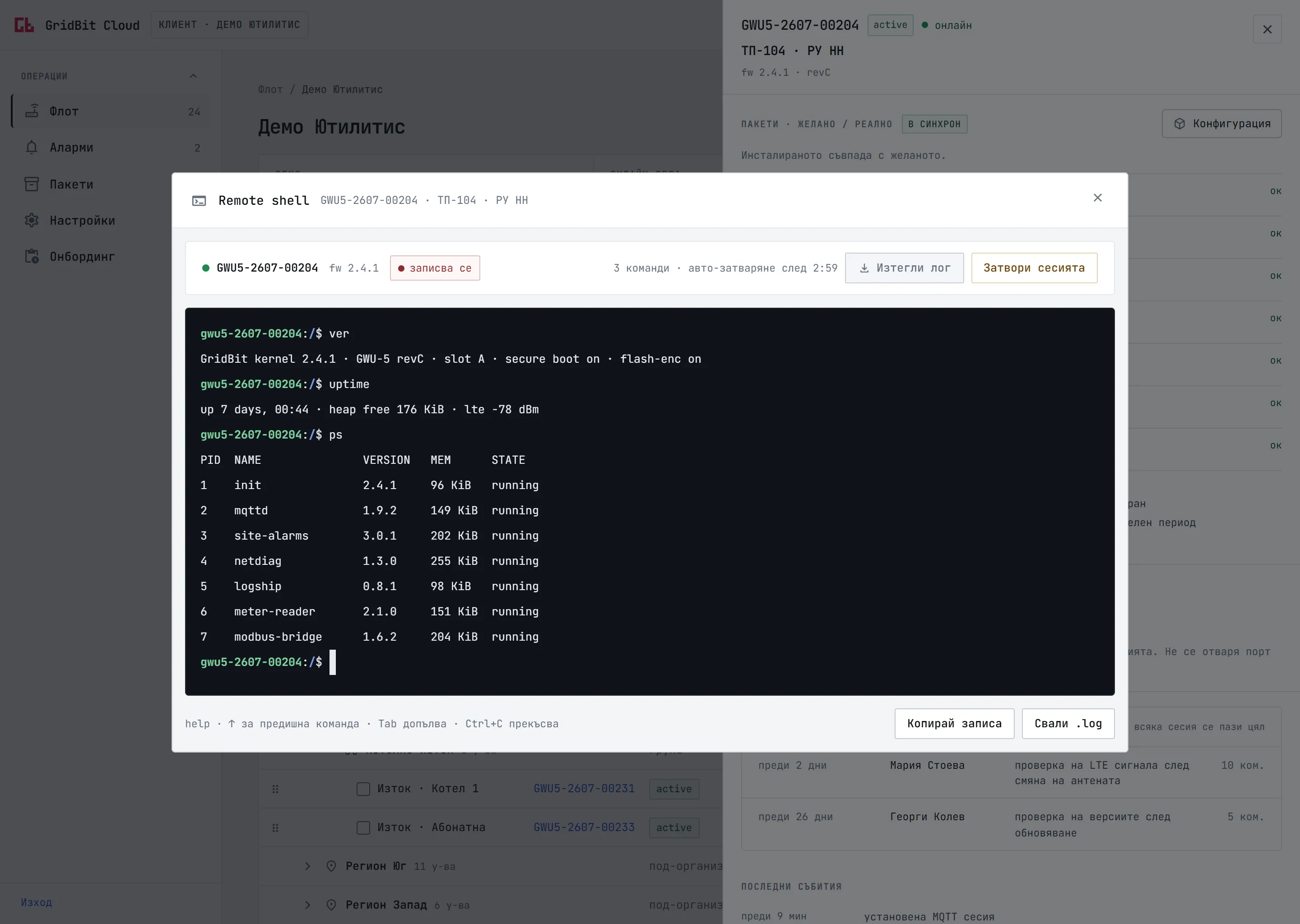 A terminal in the browser